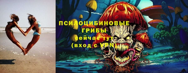 СК Елабуга