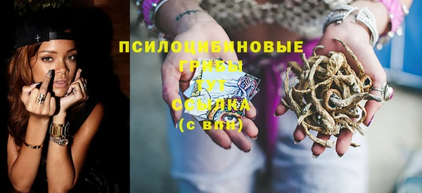 молекула духа Белокуриха