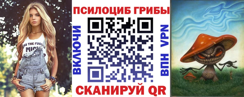 закладки  Гулькевичи  Псилоцибиновые грибы мухоморы 