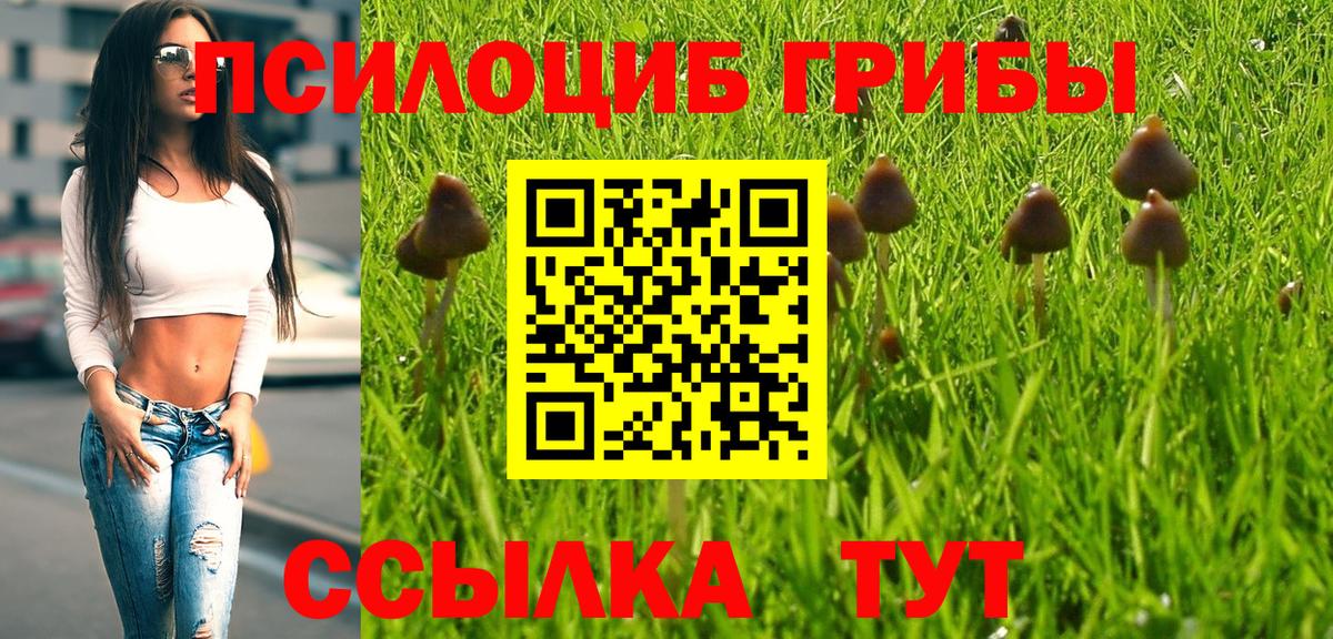 Гулькевичи  Псилоцибиновые грибы GOLDEN TEACHER  Вход с VPN 