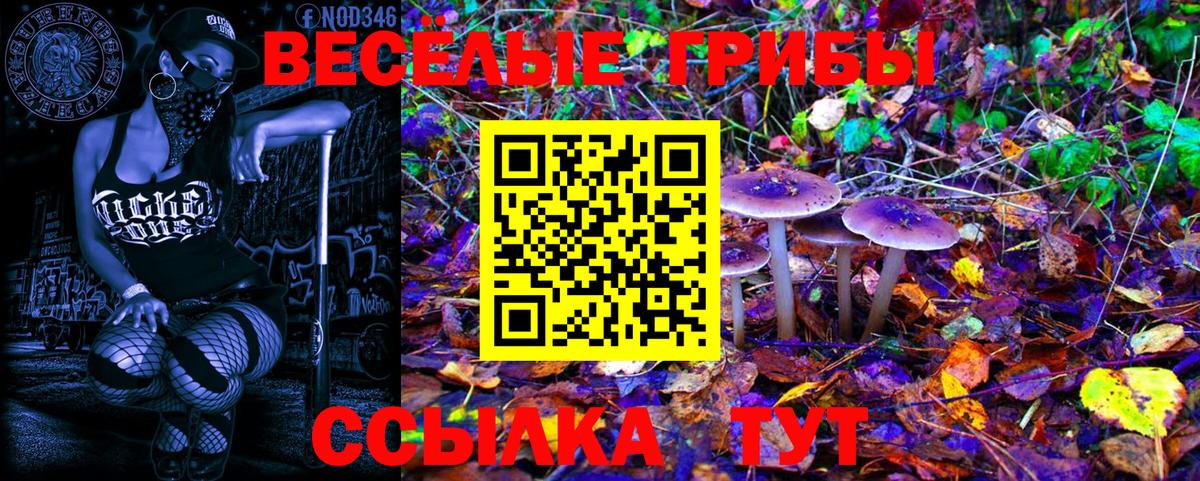 Псилоцибиновые грибы GOLDEN TEACHER  Вход с VPN  Гулькевичи 